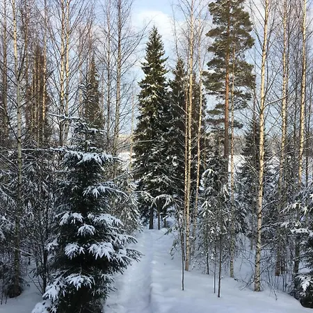 Rautjaervi * Kokkola (South Karelia)