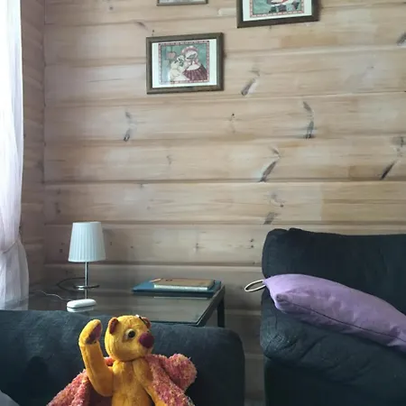 Vakantiehuis Rautjaervi *