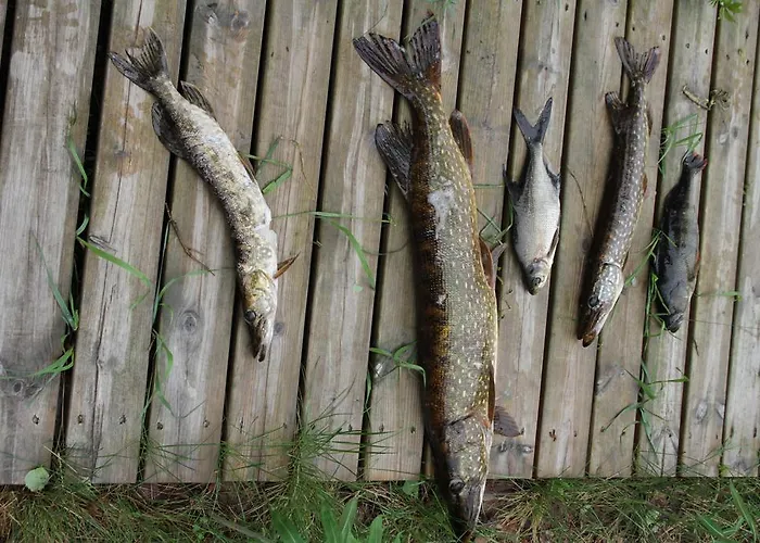 Rautjaervi Kokkola (South Karelia)