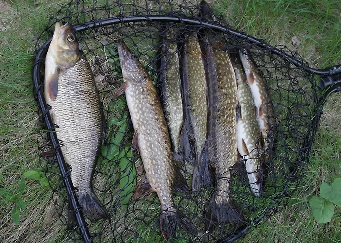 Rautjaervi Kokkola (South Karelia)