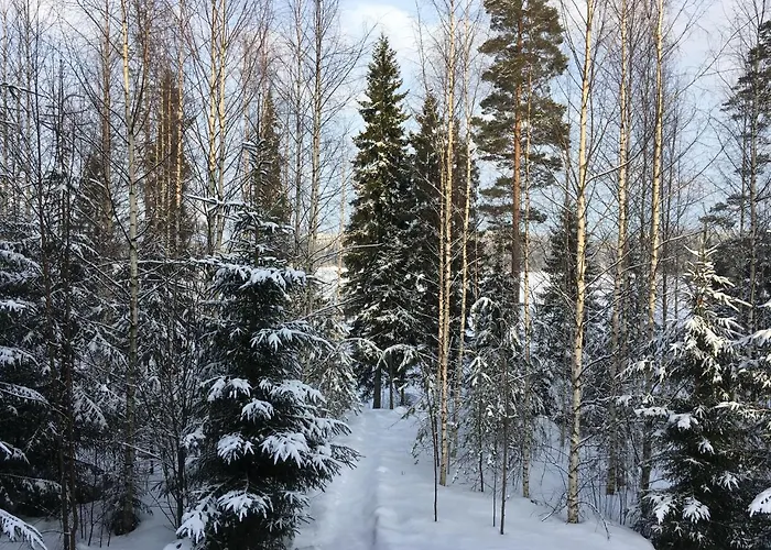 Rautjaervi * Kokkola (South Karelia)